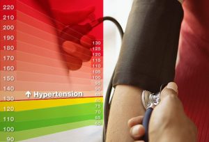 The High Blood Pressure Handbook Review