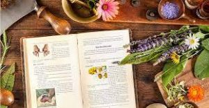 The Doctor's Book of Survival Home Remedies Book