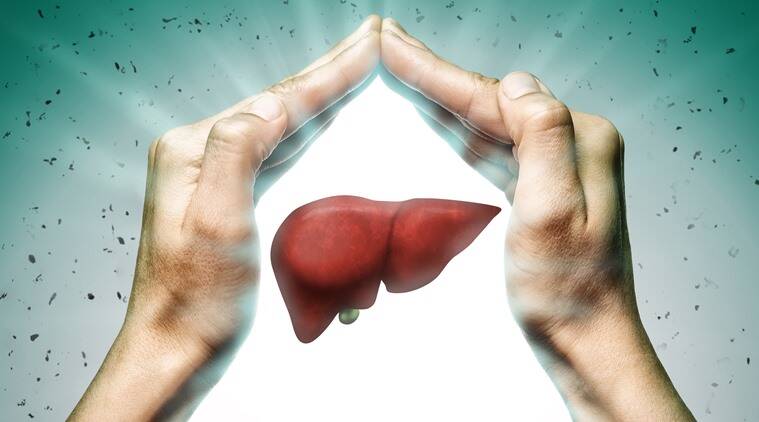 Liver-Health-Formula-Does-It-Really-Work-or-Scam.jpg (759×422)