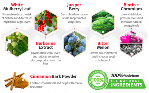 Guardian Botanicals Blood Balance Ingredients