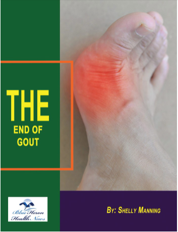 The End Of Gout Program