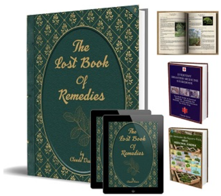 the lost book of remedies pdf free