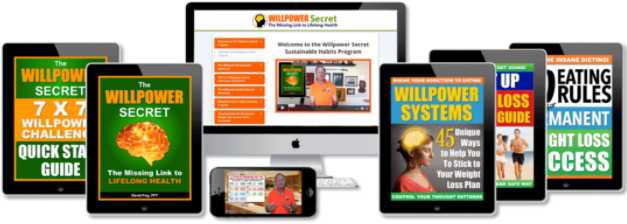 The Willpower Secret PDF