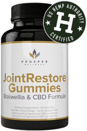 Joint Repair Gummies Boswellia & CBD Formula