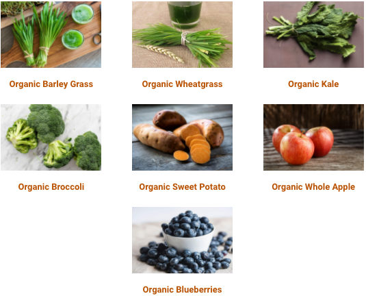  Organic Delicious Greens Superfood Powder Ingredients