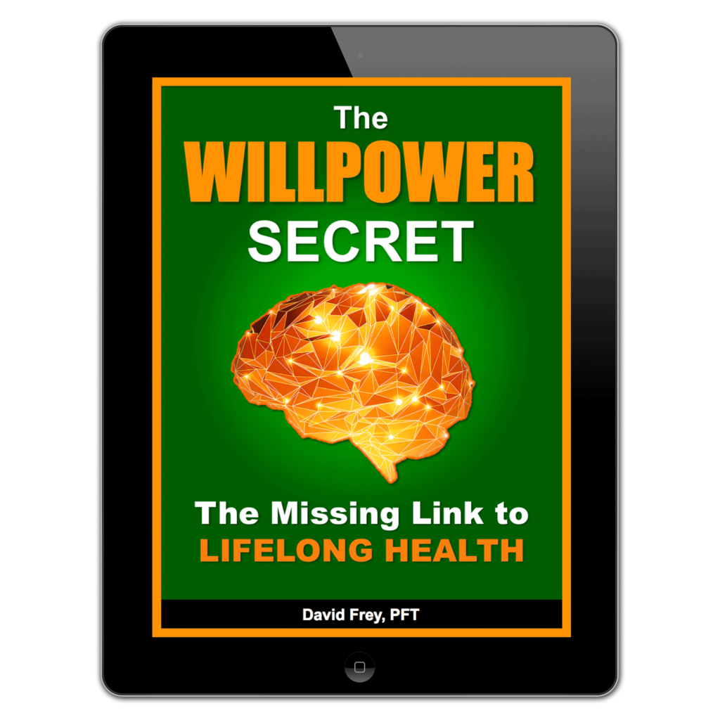 David Frey The Willpower Secret pdf