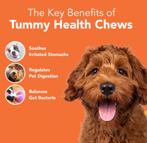 Felix + Fetch Tummy Health Chews For Dogs