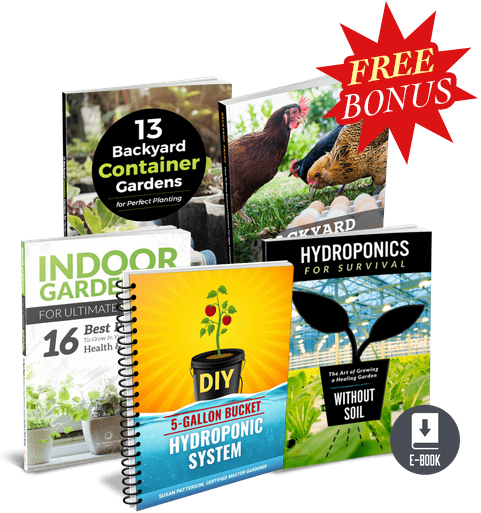 The Hydroponic Garden Secret PDF