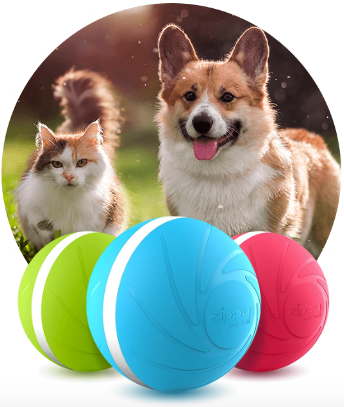 Zippy pet Ball