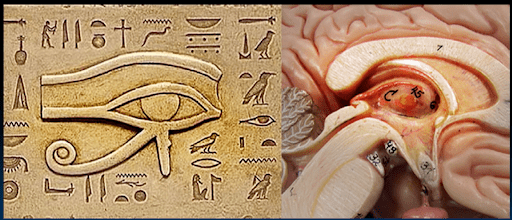 Ancient Illuminati Code PDF