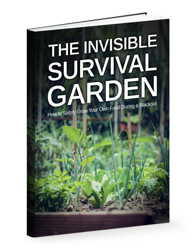 Invisible Survival Garden