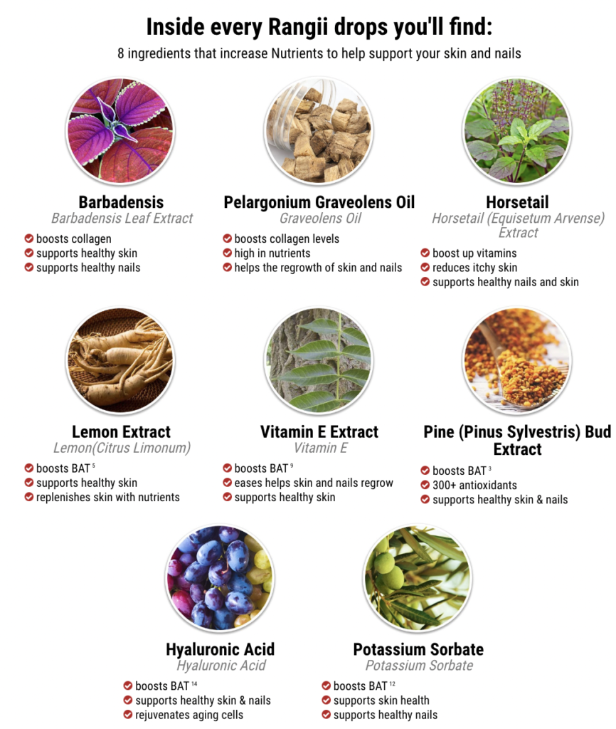 Rangii Toenail Fungus Ingredients