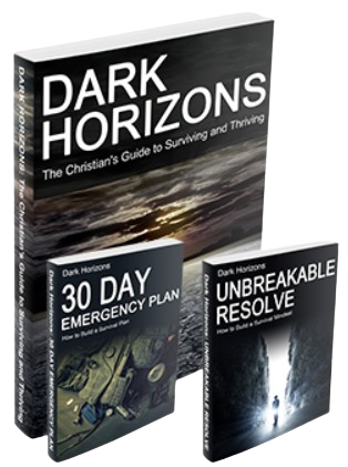 Dark Horizons Survival Guide