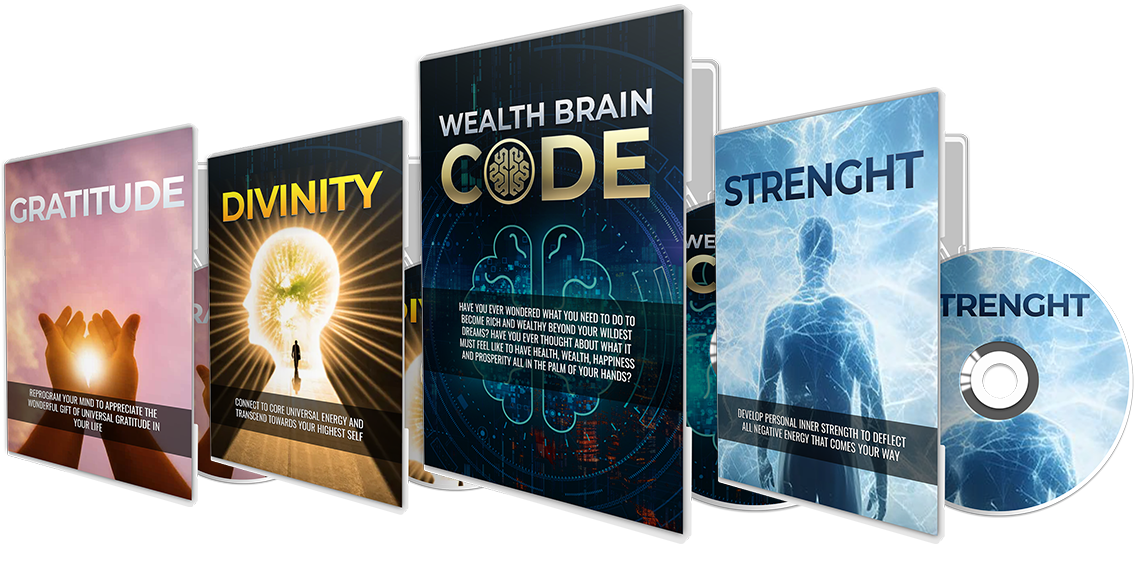 Wealth Brain Code Reviews