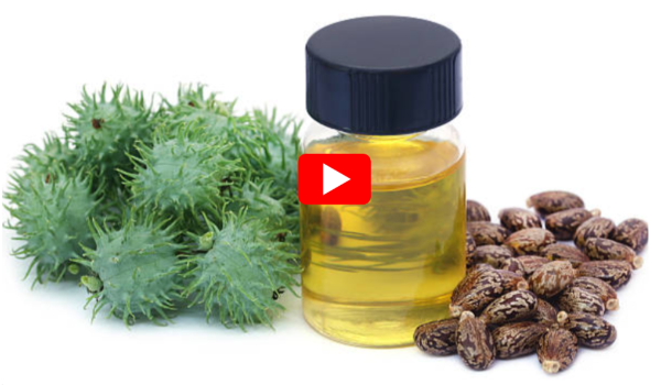 Castor Oil for Toenail Fungus.