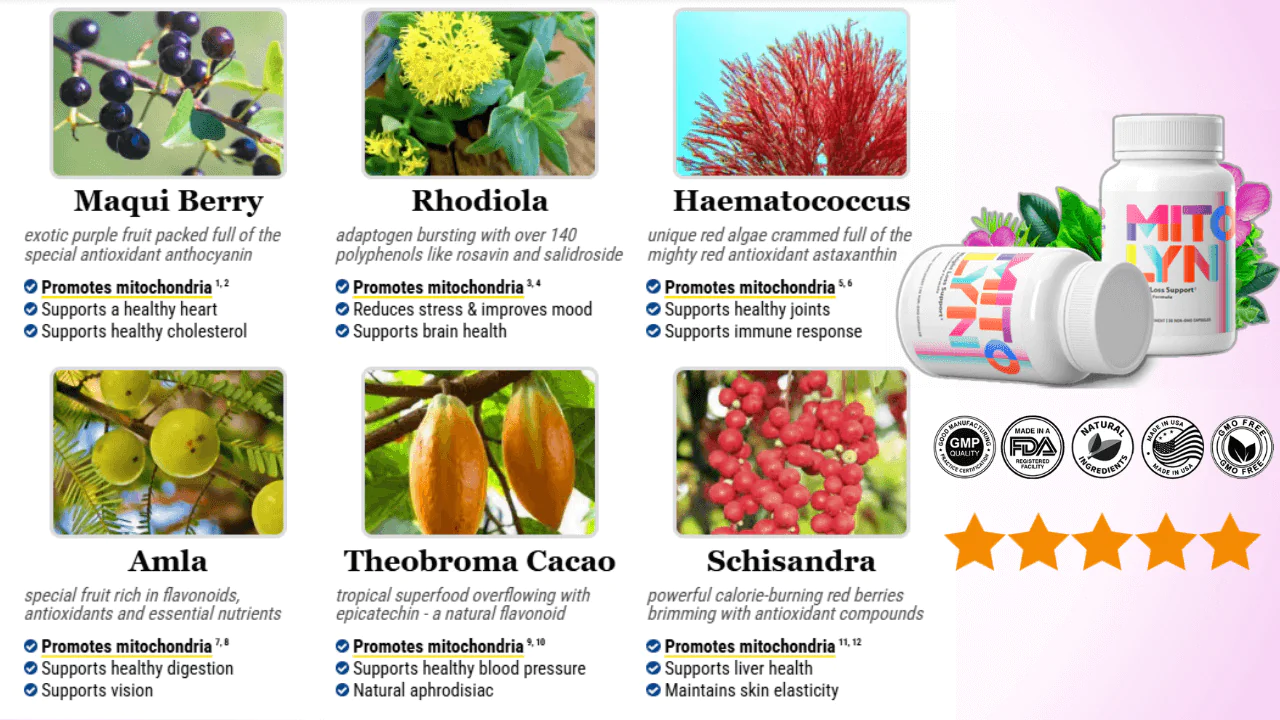 Mitolyn Ingredients and benefits