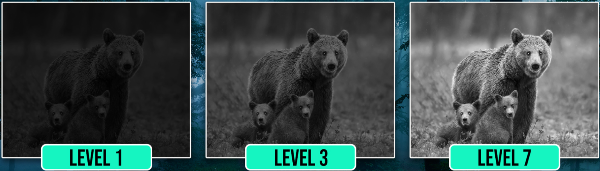 Dark Force Night Vision benefit